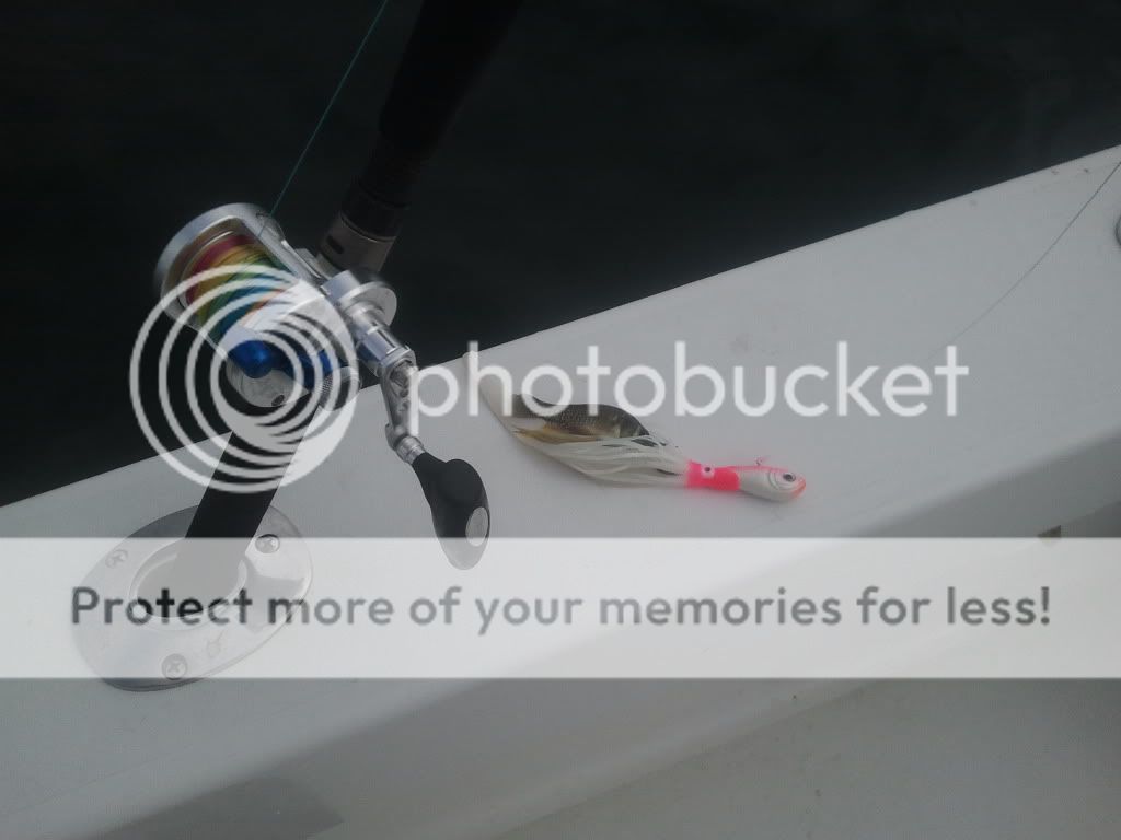 Flounder pounder 7 Keepers to 27.5"